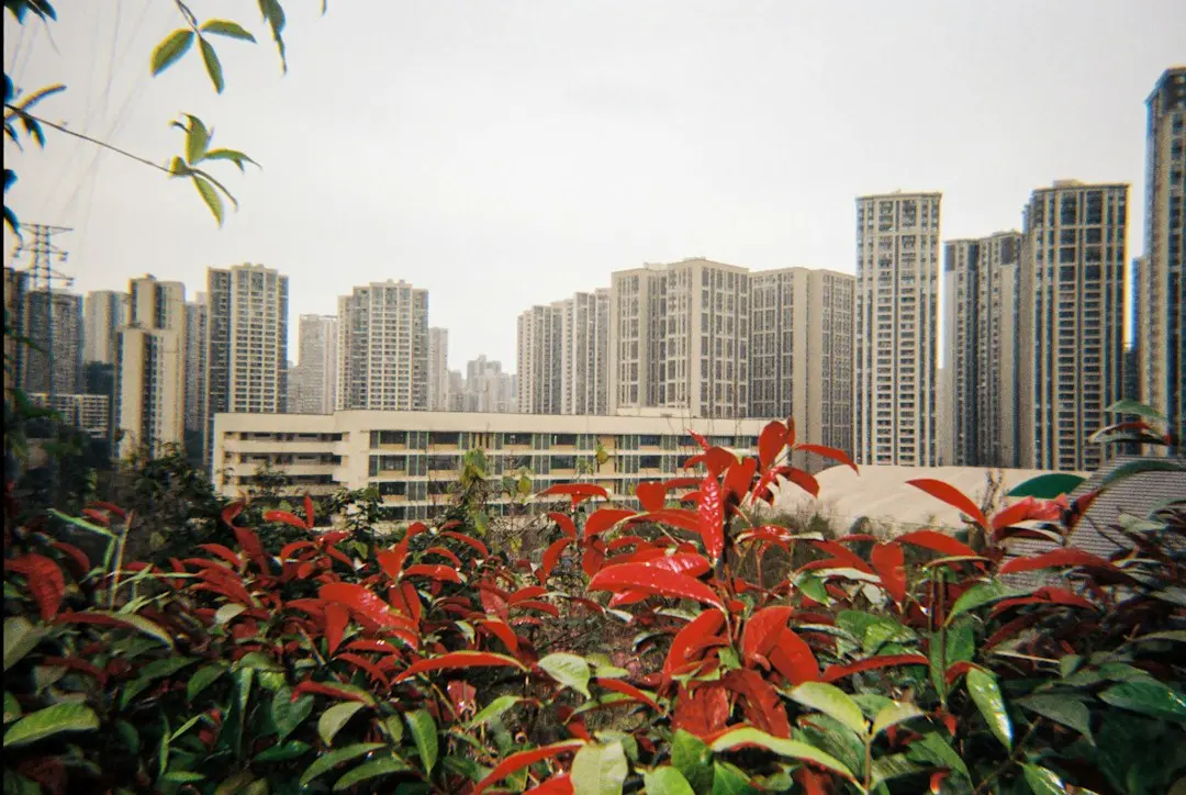 商业摄影中产品拍摄的光线运用技巧与实战分析